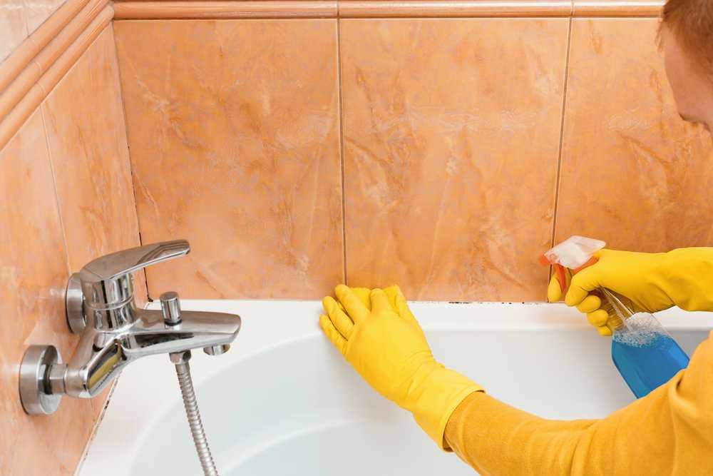 Mould Prevention in Laundries and Bathrooms: Tips to Keep Your Space Clean and Healthy