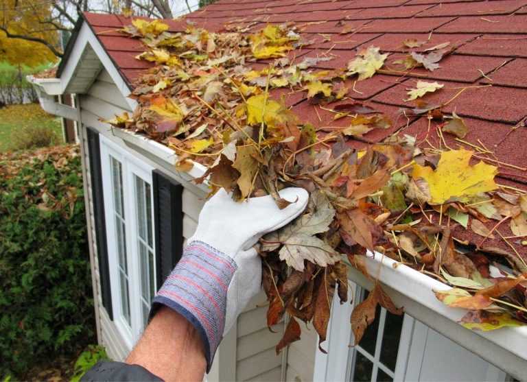 Gutter Maintenance Tips for a Water-Damage Free Aussie Home