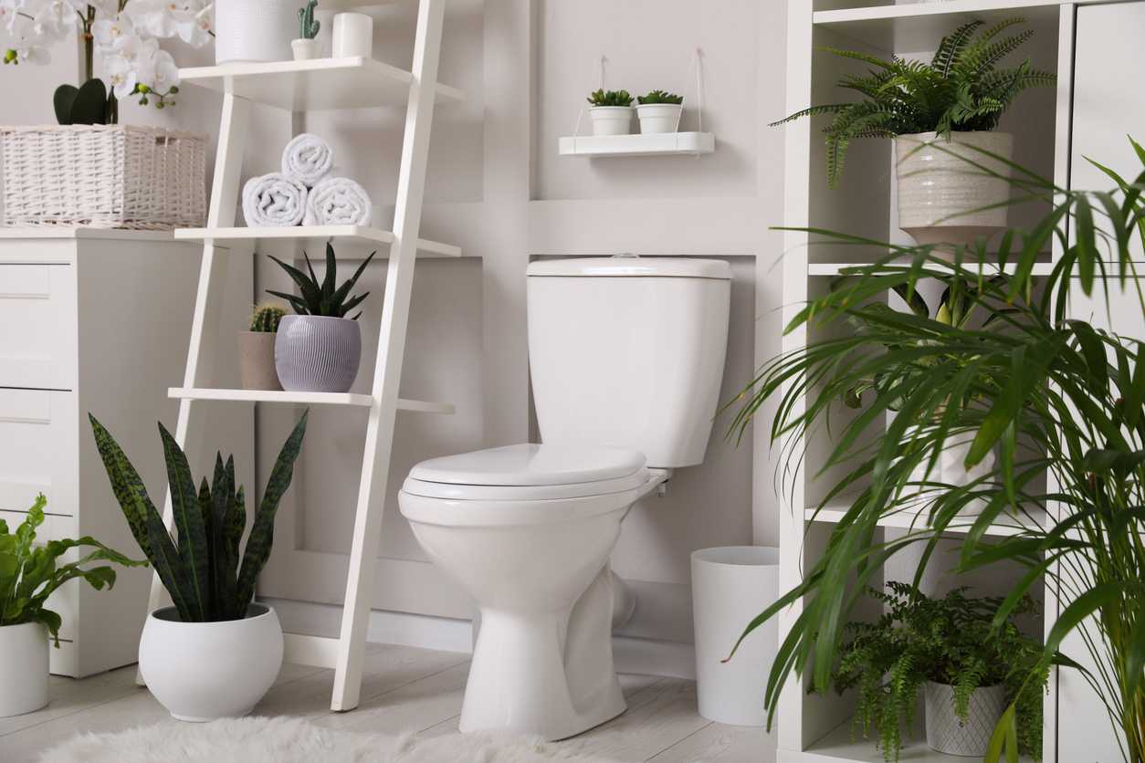 Install Efficient Toilets