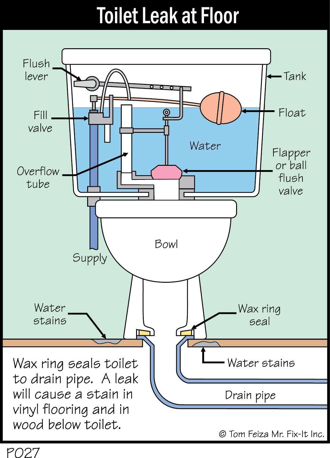 Water around Toilet Base