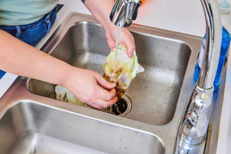 Why You Should Seriously Consider a Sink Food Disposal System even Though They are Not Common in Australian Homes”