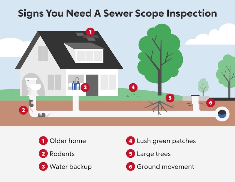 signs your sewer requires inspection.png